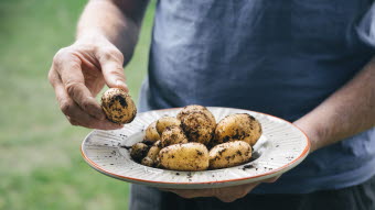 Try Swedish potatis