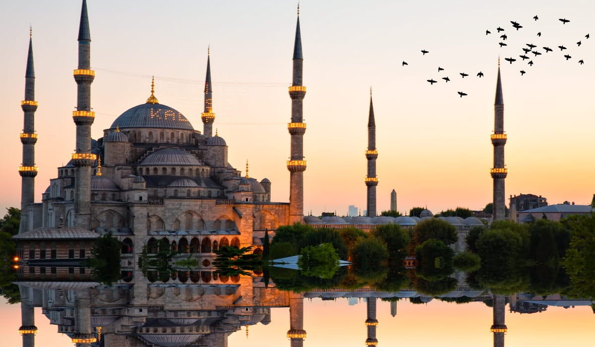 iStock-475460738.jpg