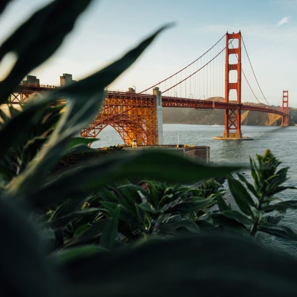 SANFRANCISCO_tim-foster-o4mP43oPGHk-unsplash.jpg