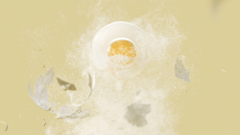 Egg powder