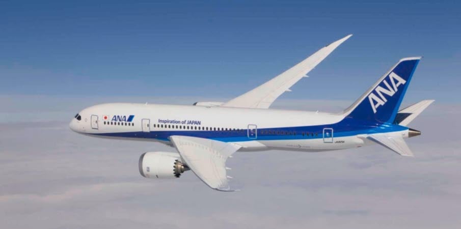787-8 Banner ANA.jpg
