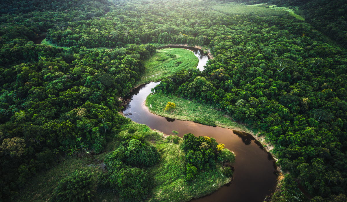 iStock-935746242.jpg