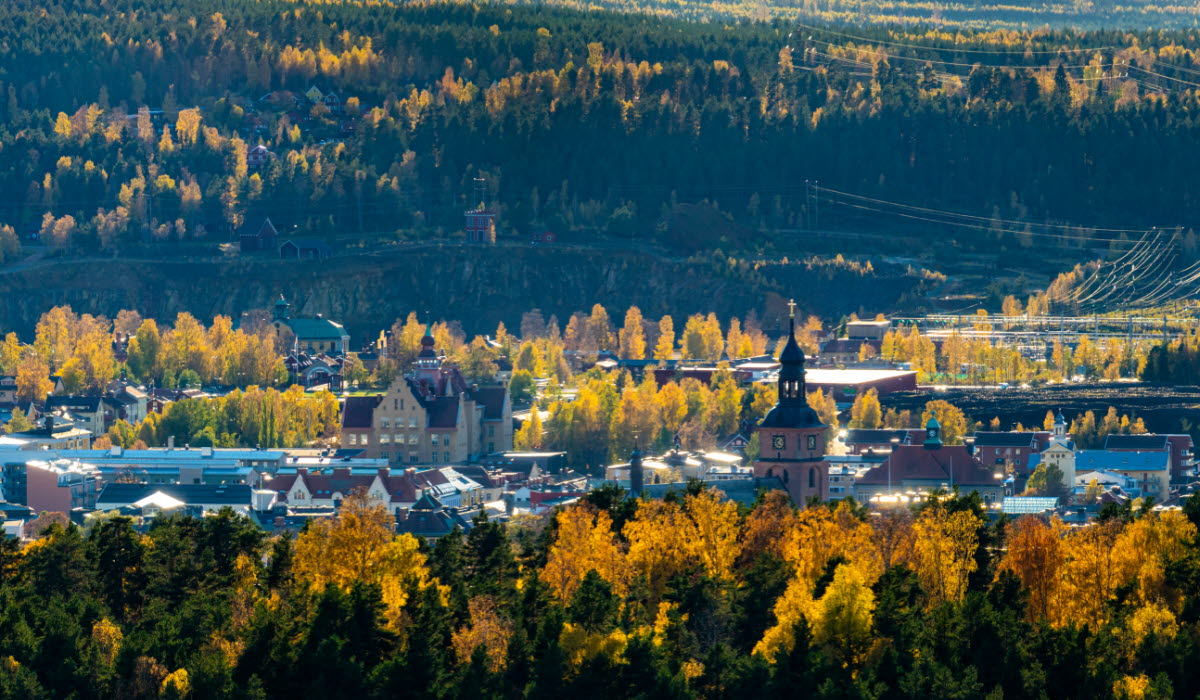 Invest In Dalarna Bakgrundsbild.jpg