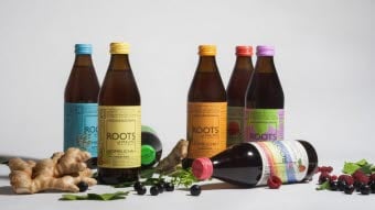 Roots-Kombucha-1110x700