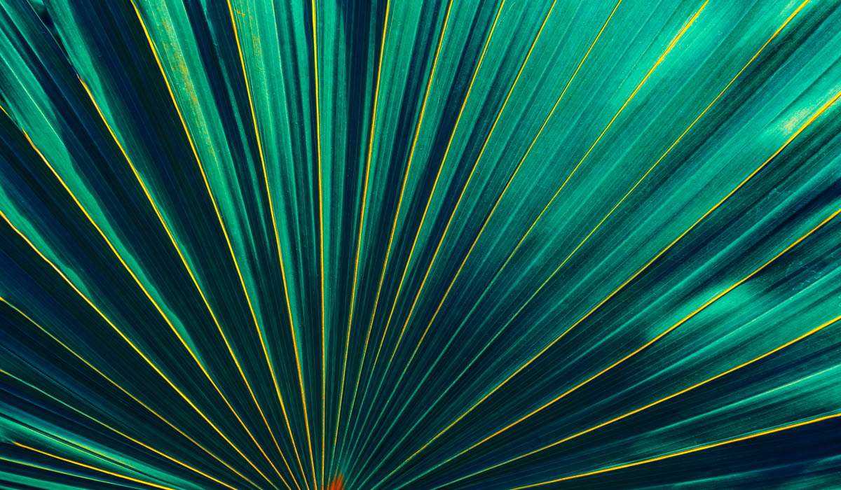 iStock-940829556 (1).jpg