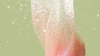Stylized-sugar