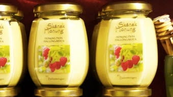 bidrottningen honung-1024x441