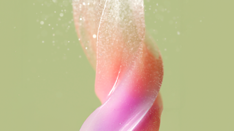 Candy