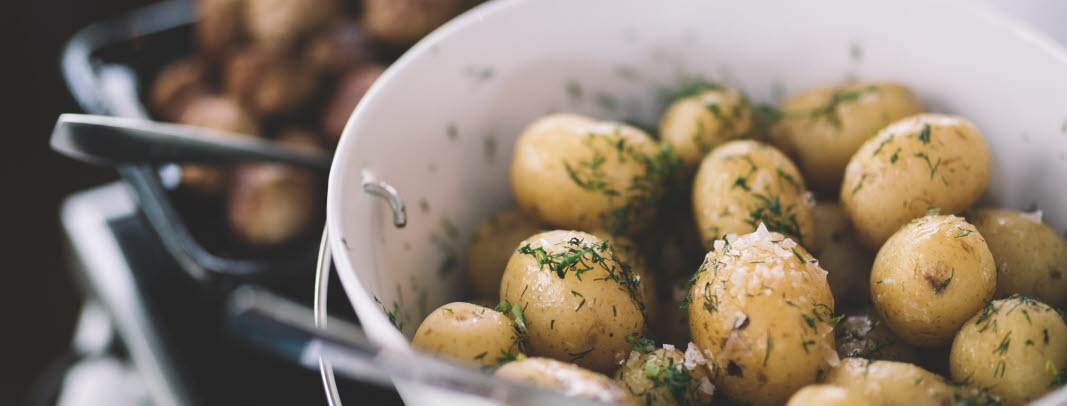 alexander_hall-new_potatoes_at_midsummer-6290