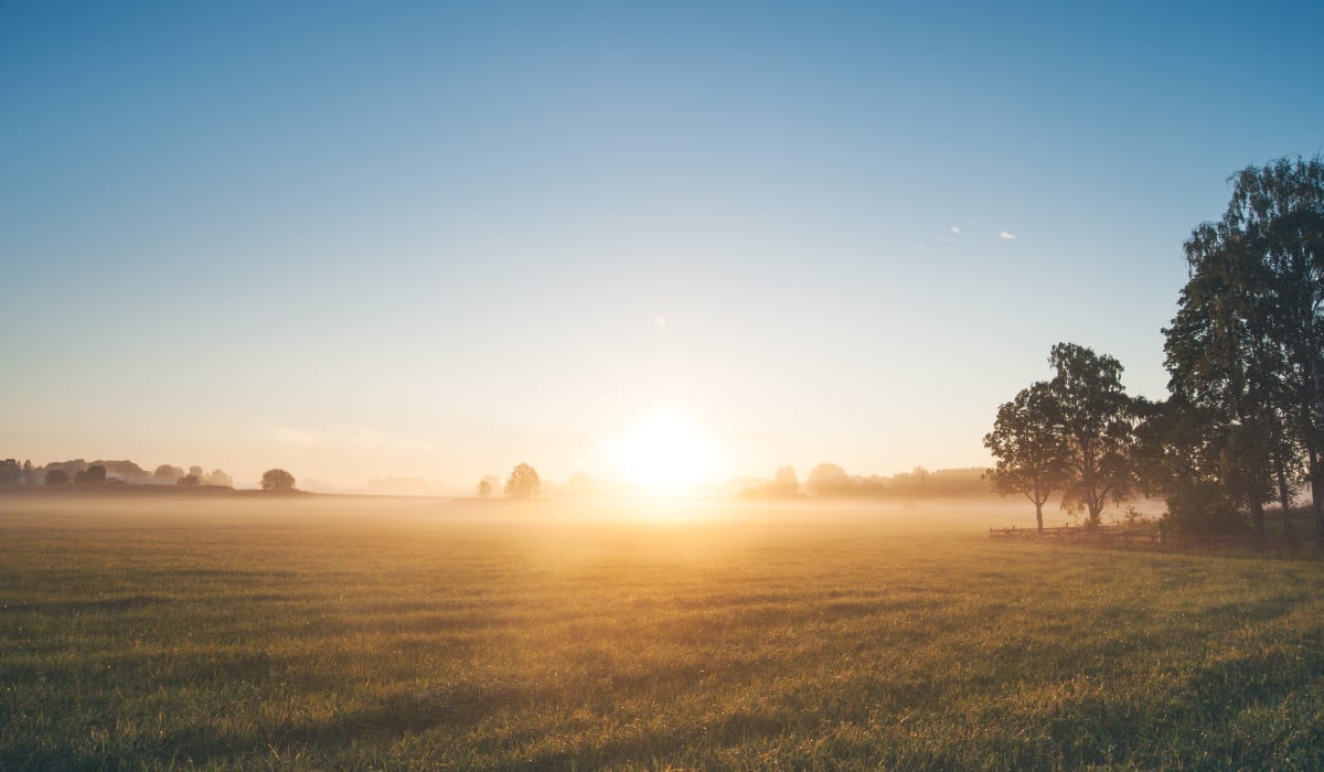 GettyImages-489976520 (1).jpg